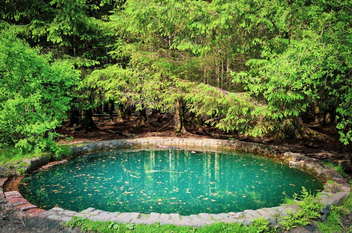 Pond Enzyme Treatment: Why is it Necessary?